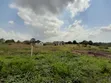 Kiwanja Kinauzwa Kigamboni Mwembe Mdogo - 2