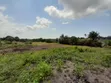 Kiwanja Kinauzwa Kigamboni Mwembe Mdogo - 3