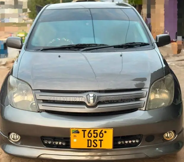 Toyota IST 2006 Gray - 1