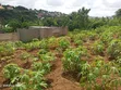 Land for Sale in Bunyokwa - 441 sqm - 1