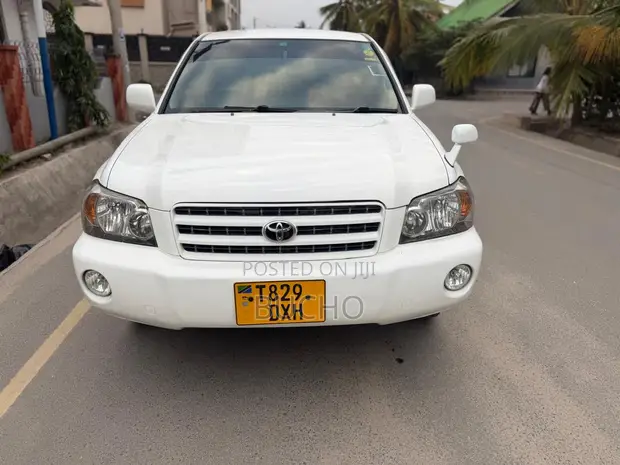 Toyota Kluger 2004 White - 1