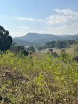 11 Acres Forest View Land for Sale in Rhotia-Marera, Karatu - 1