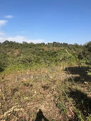 11 Acres Forest View Land for Sale in Rhotia-Marera, Karatu