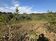 11 Acres Forest View Land for Sale in Rhotia-Marera, Karatu - 3