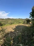 11 Acres Forest View Land for Sale in Rhotia-Marera, Karatu - 4