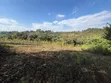 11 Acres Forest View Land for Sale in Rhotia-Marera, Karatu - 5