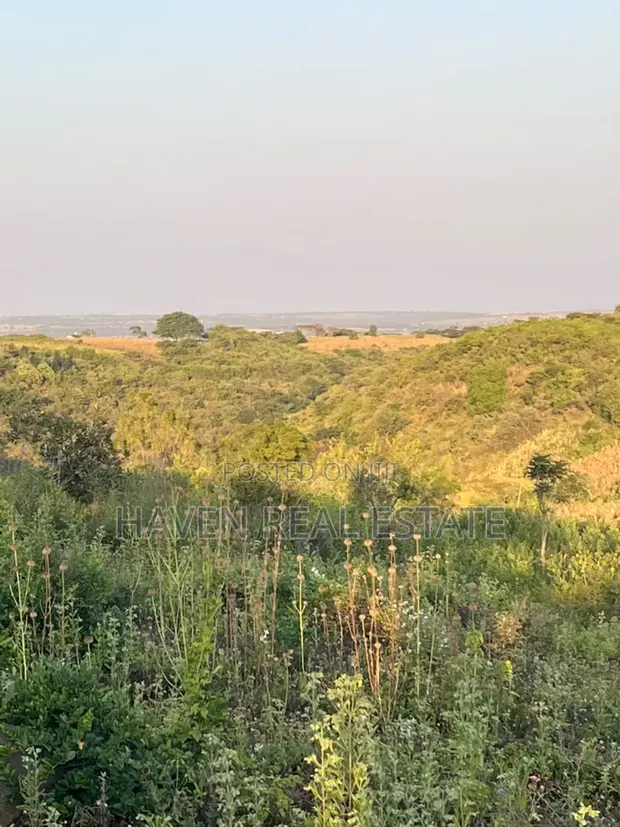 5 Acres Land with Lake Manyara & Airport View, Karatu - 1
