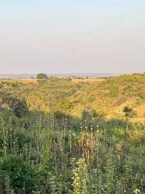 5 Acres Land with Lake Manyara & Airport View, Karatu
