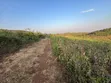 5 Acres Land with Lake Manyara & Airport View, Karatu - 2