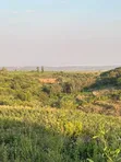 5 Acres Land with Lake Manyara & Airport View, Karatu - 3