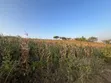 5 Acres Land with Lake Manyara & Airport View, Karatu - 4