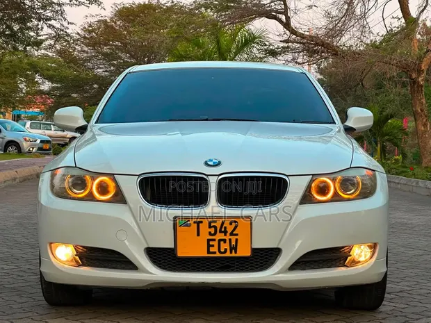 BMW 3 Series 2009 Nyeupe - 1