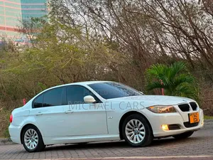 BMW 3 Series 2009 Nyeupe