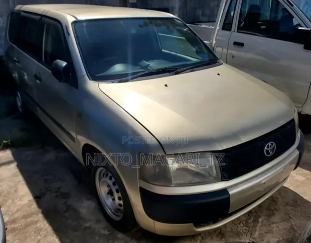 Toyota Probox 2004 Gold - 1