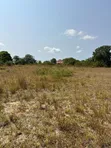 3 Acres Industrial Land for Sale, Kigamboni - 2
