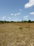 3 Acres Industrial Land for Sale, Kigamboni - 4