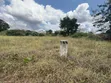 Eneo la Viwanda la Eka 10 Linalogusa Lami - Mpuyani, Kisarawe - 3