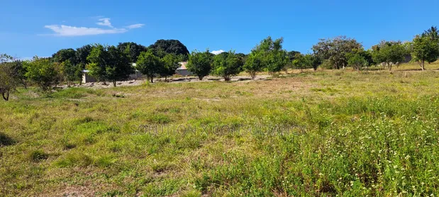4 Acres Farmland for Sale, Kiromo Bagamoyo - 1