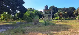 4 Acres Farmland for Sale, Kiromo Bagamoyo