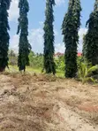 Plot for Sale in Kibada, Kigamboni - 3