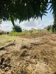 Plot for Sale in Kibada, Kigamboni - 4