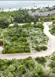 Eneo la Beach 2,250 SQM kwa Ajili ya Kuuzwa | Matemwe, Zanzibar - 2