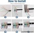 2 Port RJ45 Cat6 Ethernet Wall Faceplate - 5