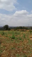 Kiwanja cha Kuuzwa Mlimani Njiro, Arusha - 2