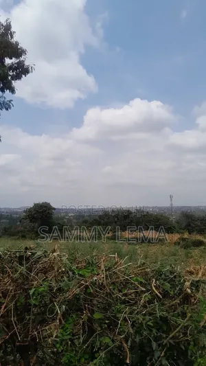 Plot for Sale in Njiro Hill, Arusha