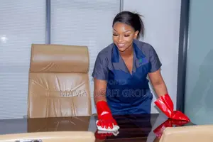 Professional Cleaning Services for Offices, Hospitals, and Accommodations