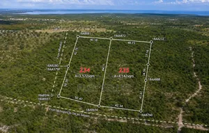 2 Acres Commercial Land for Sale, Mlandizi (Morogoro Road)