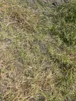 2 Acres Commercial Land for Sale, Mlandizi (Morogoro Road) - 2