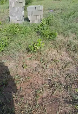 Kigamboni Plot for Sale - 17700 sqm