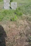 Kiwanja Kigamboni Kinauzwa - sqm 17700 - 2