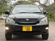 Toyota Harrier 2006 Black - 5