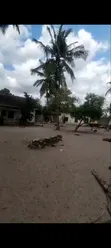 Plot for Sale Kigamboni Gezaulole Opposite Islamic Beach - 3