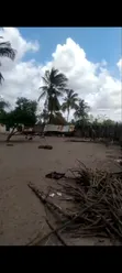 Plot for Sale Kigamboni Gezaulole Opposite Islamic Beach - 4