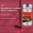 Ganoderma Lucidum Spores Capsules - Immune Support - 2