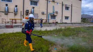 Fumigation Pest Control Services