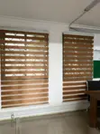 Modern Zebra Blinds - 1