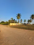 Plot for Sale in Madale Mivumoni - 1