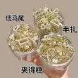 Set of 20 Women's Hair Clips - 2
