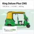 New TVS 200cc Three-Wheeler (CNG/Petrol) - Green - 3