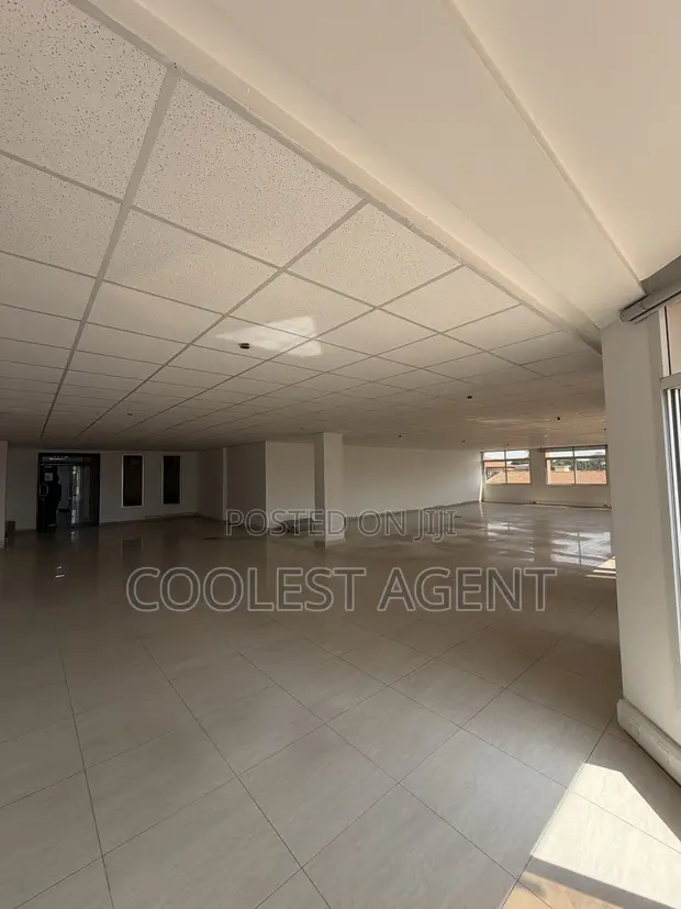 Office Space for Rent - Oyster Bay (185 sqm) - 1