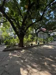 Furnished 3-Bedroom House for Rent in Kahwa Real Estate, Masaki - 5