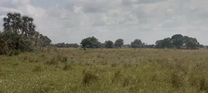 Residential Plot for Sale in Kitopeni, Bagamoyo
