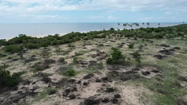 Saadani Park Beach Plot for Sale - 1