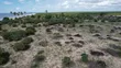 Saadani Park Beach Plot for Sale - 4