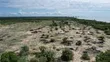 Saadani Park Beach Plot for Sale - 5