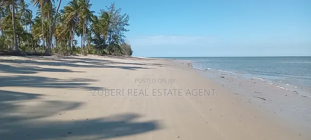 Mkwaja Pangani Beach Plot - 14 Acres - 1